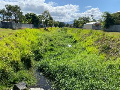 Weeds are growing on both banks of Saltwater Creek at Jensen Street Park