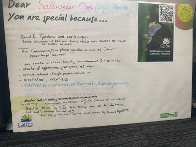 Saltwater Creek is special because board for feedback
