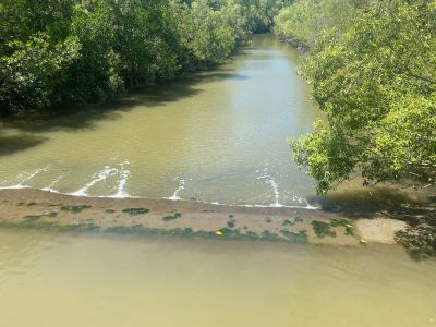 Weir at Saltwater Creek on Greenslopes Street