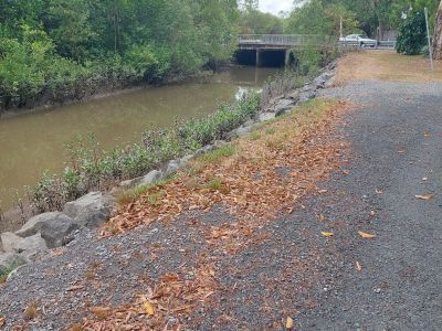 Lily Creek near Greenslopes Street - one side has established mangroves and another side showing regrowth of mangroves (seedlings)